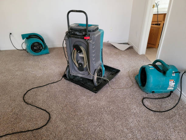 Best Residential water damage restoration  in Hampton, GA