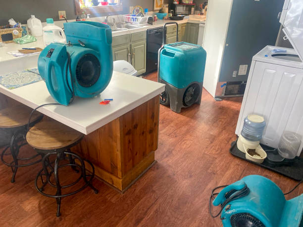 Best Flooded house restoration  in Hampton, GA