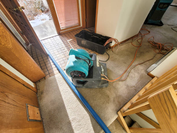 Best Water damage cleanup near me  in Hampton, GA
