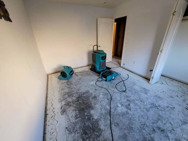 Best Flooded house restoration  in Hampton, GA