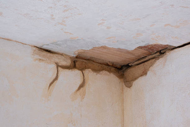 Best Flood damage cleanup  in Hampton, GA