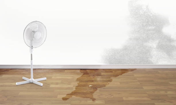 Water damage restoration experts in Hampton, GA