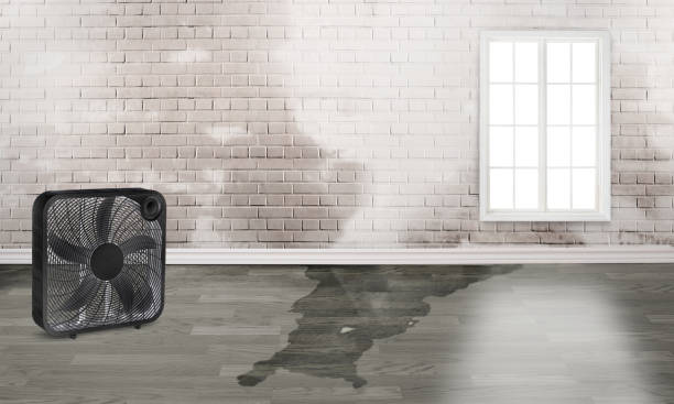 Best 24-hour water damage restoration  in Hampton, GA