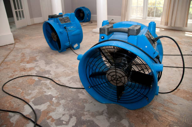 Best Water damage contractors near me  in Hampton, GA