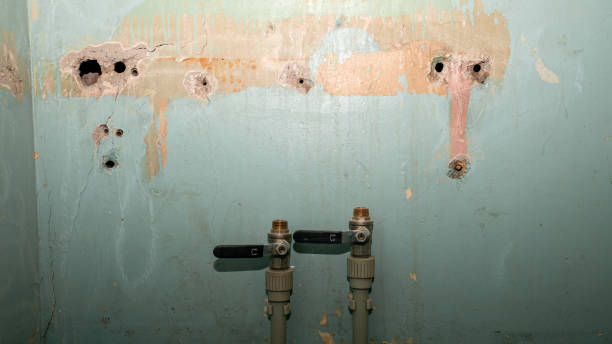 Best Ceiling water damage repair  in Hampton, GA