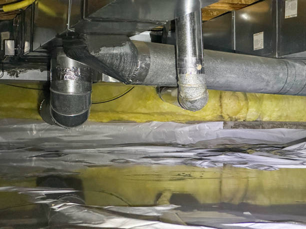 Best Carpet water damage restoration  in Hampton, GA