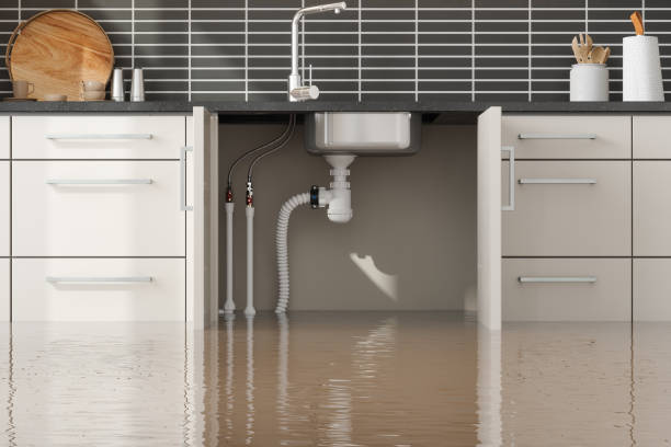 Best Water damage restoration mold remediation  in Hampton, GA