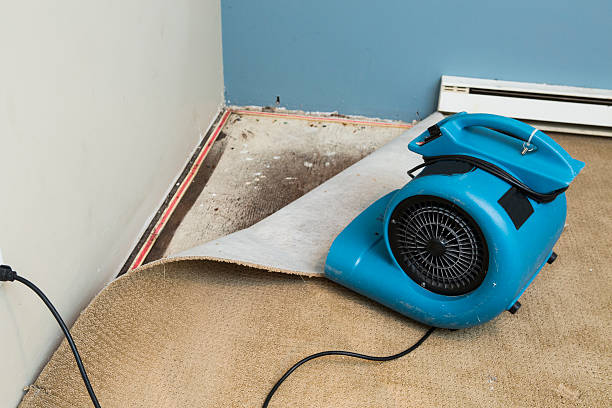  Hampton, GA Water damage restoration Pros